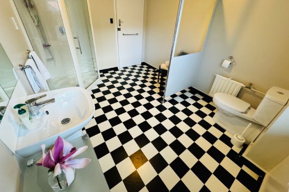 1-Bedroom Apartment bathroom